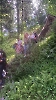 Rekolekcje Dzieci Maryi Królowej Pomocy, prowadził o. Maksymin, 16-19.07.2025