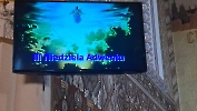 Spotkanie modlitewne Adoratorek Krwi Chrystusa, 14.12.2025