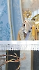 Dzień skupienia MI Archidiecezji Częstochowskiej w Parafii Najświętszego Serca Pana Jezusa w Gniazdowie i Sanktuarium św. jana Marii Vianney'a w Mzykach, 28.02.2026